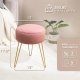 Vanity Stool, Pink Vanity Stools for Makeup Room, Round Ottoman Foot Stool, Velvet Footrest Vanity Chair for Bathroom Vanity, Bedroom, Living Room, Entryway, Offices